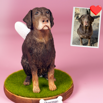 Custom Pet Figurine CuteBuddi